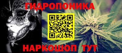 СК Гагарин