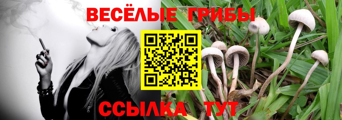 Галлюциногенные грибы Psilocybine cubensis  Псилоцибиновые грибы GOLDEN TEACHER  Нефтеюганск  Вход с VPN 